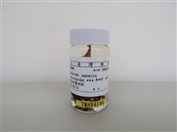 藏品(綠繡眼)的圖片